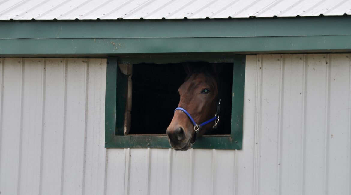 How to File Chapter 13 Bankruptcy near Churchill Downs in Louisville