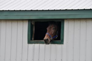 How to File Chapter 13 Bankruptcy near Churchill Downs in Louisville